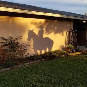 Meet your Posher, Anne